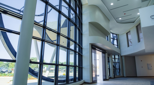 1000_Buildings_3.webp